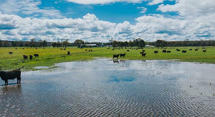 Property with flood water