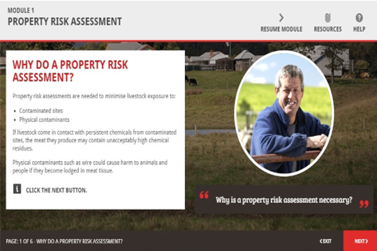 property risk manager
