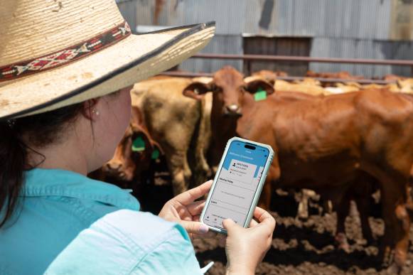 NVDs & eNVDs: Switching to digital has never been easier