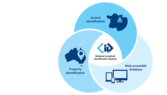 How does the NLIS work?