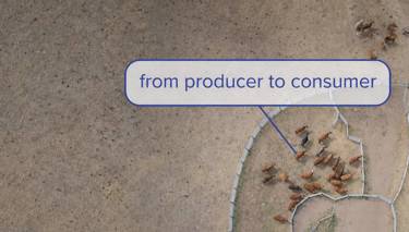 What is the red meat integrity system?